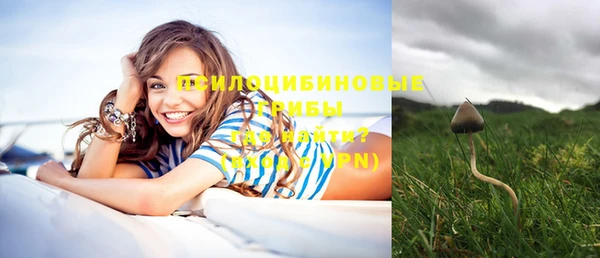дмт Баксан